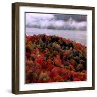 Mist Lingers Over Lobster Lake as Trees Show off Their Splendid Colors During Peak Fall Foliage-null-Framed Photographic Print