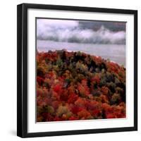 Mist Lingers Over Lobster Lake as Trees Show off Their Splendid Colors During Peak Fall Foliage-null-Framed Photographic Print