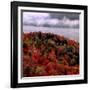 Mist Lingers Over Lobster Lake as Trees Show off Their Splendid Colors During Peak Fall Foliage-null-Framed Photographic Print