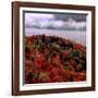 Mist Lingers Over Lobster Lake as Trees Show off Their Splendid Colors During Peak Fall Foliage-null-Framed Photographic Print