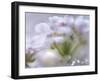 Mist of Lilac I-Gillian Hunt-Framed Photographic Print