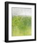 Mist on Green-Jessica Torrant-Framed Giclee Print