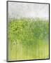 Mist on Green-Jessica Torrant-Mounted Giclee Print