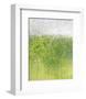 Mist on Green-Jessica Torrant-Framed Art Print