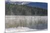 Mist on Lost Lake, Ski Hill and surrounding forest, Whistler, British Columbia, Canada, North Ameri-Frank Fell-Mounted Photographic Print