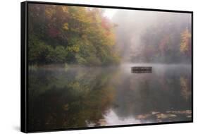 Mist on the Lake-Danny Head-Framed Stretched Canvas