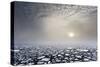 Mist on the Pack Ice, in the High Arctic Ocean, North of Spitsbergen, Svalbard Islands, Norway-ClickAlps-Stretched Canvas