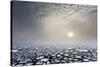 Mist on the Pack Ice, in the High Arctic Ocean, North of Spitsbergen, Svalbard Islands, Norway-ClickAlps-Stretched Canvas