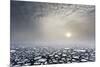 Mist on the Pack Ice, in the High Arctic Ocean, North of Spitsbergen, Svalbard Islands, Norway-ClickAlps-Mounted Photographic Print