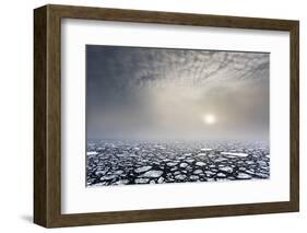 Mist on the Pack Ice, in the High Arctic Ocean, North of Spitsbergen, Svalbard Islands, Norway-ClickAlps-Framed Photographic Print