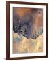 Mist on the Snow Peak, 2009-Patricia Brintle-Framed Giclee Print