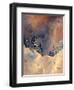 Mist on the Snow Peak, 2009-Patricia Brintle-Framed Giclee Print