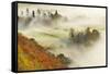 Mist over a Mixed Woodland in Autumn. Kinnoull Hill Woodland Park, Perthshire, Scotland, November-Fergus Gill-Framed Stretched Canvas