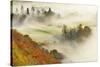 Mist over a Mixed Woodland in Autumn. Kinnoull Hill Woodland Park, Perthshire, Scotland, November-Fergus Gill-Stretched Canvas