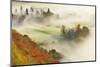 Mist over a Mixed Woodland in Autumn. Kinnoull Hill Woodland Park, Perthshire, Scotland, November-Fergus Gill-Mounted Photographic Print