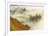 Mist over a Mixed Woodland in Autumn. Kinnoull Hill Woodland Park, Perthshire, Scotland, November-Fergus Gill-Framed Photographic Print