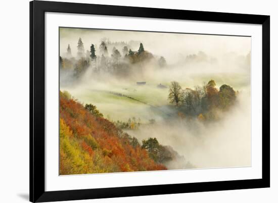 Mist over a Mixed Woodland in Autumn. Kinnoull Hill Woodland Park, Perthshire, Scotland, November-Fergus Gill-Framed Photographic Print