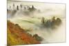 Mist over a Mixed Woodland in Autumn. Kinnoull Hill Woodland Park, Perthshire, Scotland, November-Fergus Gill-Mounted Photographic Print