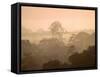 Mist over Canopy, Amazon, Ecuador-Pete Oxford-Framed Stretched Canvas