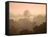 Mist over Canopy, Amazon, Ecuador-Pete Oxford-Framed Stretched Canvas