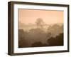 Mist over Canopy, Amazon, Ecuador-Pete Oxford-Framed Premium Photographic Print