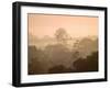 Mist over Canopy, Amazon, Ecuador-Pete Oxford-Framed Premium Photographic Print