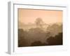 Mist over Canopy, Amazon, Ecuador-Pete Oxford-Framed Premium Photographic Print