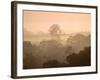 Mist over Canopy, Amazon, Ecuador-Pete Oxford-Framed Photographic Print