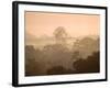 Mist over Canopy, Amazon, Ecuador-Pete Oxford-Framed Photographic Print