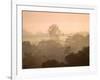 Mist over Canopy, Amazon, Ecuador-Pete Oxford-Framed Photographic Print