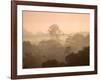 Mist over Canopy, Amazon, Ecuador-Pete Oxford-Framed Photographic Print