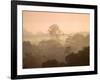 Mist over Canopy, Amazon, Ecuador-Pete Oxford-Framed Photographic Print