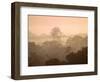 Mist over Canopy, Amazon, Ecuador-Pete Oxford-Framed Photographic Print