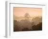 Mist over Canopy, Amazon, Ecuador-Pete Oxford-Framed Photographic Print