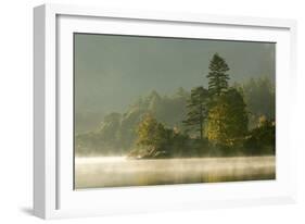 Mist over Lake Derwent Water at Dawn, Brandlehow, Borrowdale, the Lake District-John Potter-Framed Photographic Print