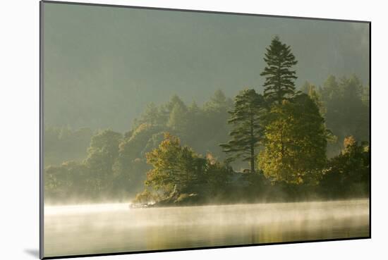 Mist over Lake Derwent Water at Dawn, Brandlehow, Borrowdale, the Lake District-John Potter-Mounted Photographic Print
