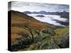 Mist over Llyn Gwynant and Snowdonia Mountains, Snowdonia National Park, Conwy, Wales, United Kingd-Stuart Black-Stretched Canvas