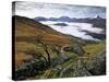 Mist over Llyn Gwynant and Snowdonia Mountains, Snowdonia National Park, Conwy, Wales, United Kingd-Stuart Black-Stretched Canvas