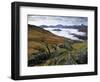 Mist over Llyn Gwynant and Snowdonia Mountains, Snowdonia National Park, Conwy, Wales, United Kingd-Stuart Black-Framed Photographic Print