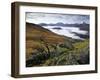 Mist over Llyn Gwynant and Snowdonia Mountains, Snowdonia National Park, Conwy, Wales, United Kingd-Stuart Black-Framed Photographic Print