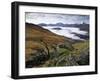 Mist over Llyn Gwynant and Snowdonia Mountains, Snowdonia National Park, Conwy, Wales, United Kingd-Stuart Black-Framed Photographic Print