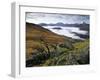 Mist over Llyn Gwynant and Snowdonia Mountains, Snowdonia National Park, Conwy, Wales, United Kingd-Stuart Black-Framed Photographic Print