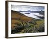 Mist over Llyn Gwynant and Snowdonia Mountains, Snowdonia National Park, Conwy, Wales, United Kingd-Stuart Black-Framed Photographic Print