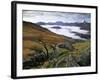 Mist over Llyn Gwynant and Snowdonia Mountains, Snowdonia National Park, Conwy, Wales, United Kingd-Stuart Black-Framed Photographic Print