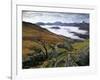 Mist over Llyn Gwynant and Snowdonia Mountains, Snowdonia National Park, Conwy, Wales, United Kingd-Stuart Black-Framed Photographic Print