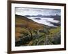 Mist over Llyn Gwynant and Snowdonia Mountains, Snowdonia National Park, Conwy, Wales, United Kingd-Stuart Black-Framed Photographic Print