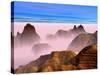 Mist over Rock Formations-Cindy Kassab-Stretched Canvas