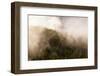 Mist over the trees in Squamish, British Columbia, Canada-Kristin Piljay-Framed Photographic Print