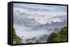 Mist, over Tropical Rainforest, Early Morning, Sabah, Borneo, Malaysia-Peter Adams-Framed Stretched Canvas