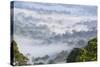 Mist, over Tropical Rainforest, Early Morning, Sabah, Borneo, Malaysia-Peter Adams-Stretched Canvas